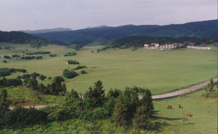 20041215104847 - <em>仙女山</em>的<em>照片</em>/<em>武隆</em>/重庆 - 途