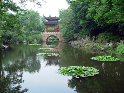 大观园图片