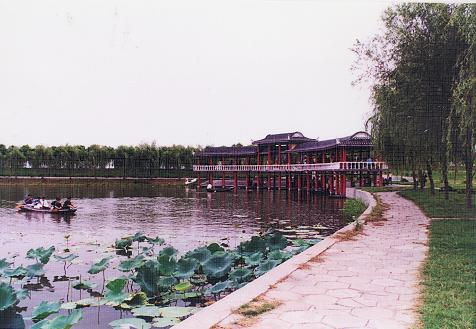洪湖蓝田生态园图片