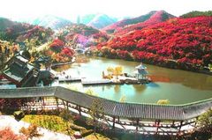 红叶谷生态文化旅游区图片