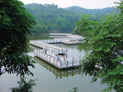 西樵山风景名胜区图片