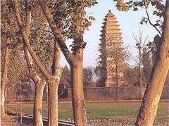 白马寺图片