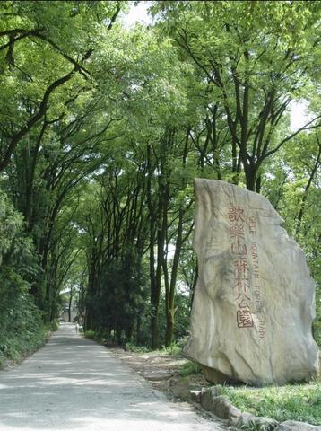 歌乐山森林公园图片