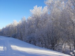 DSC02121