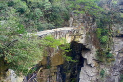 200871013162334944