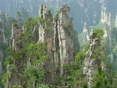 20087101316959751