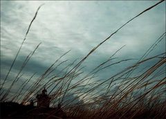 0019b91ebfe208ed95f327