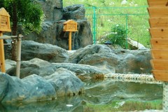 汤池