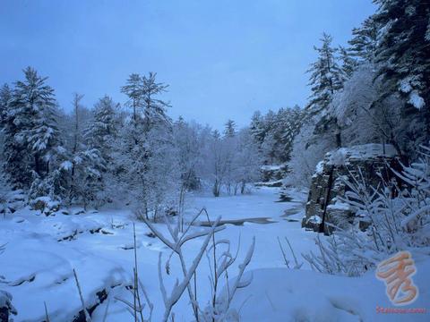 <em>林海雪原</em>1 - <em>林海雪原</em>的<em>照片</em>/大连/辽宁 - 途牛旅