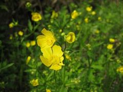 照片 456_conew1