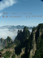 yangjia1副本