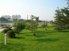 200842915524971