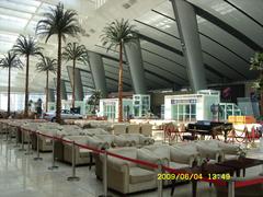 SDC12243