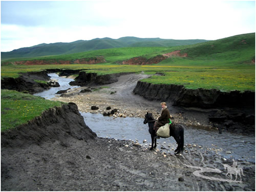 p.flower {background-image: url(\/i\/eg_bg_03.gi