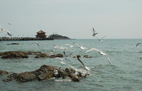 碧海浴场图片