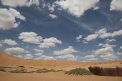 IMG_4019