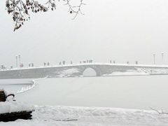 断桥残雪
