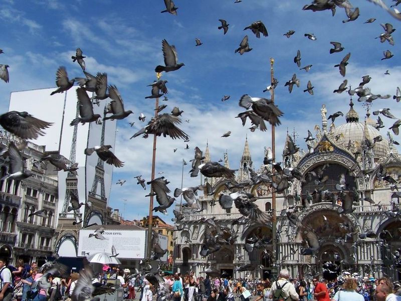 威尼斯广场 - 威尼斯