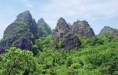 五指山