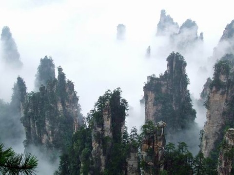 双门迎宾图片