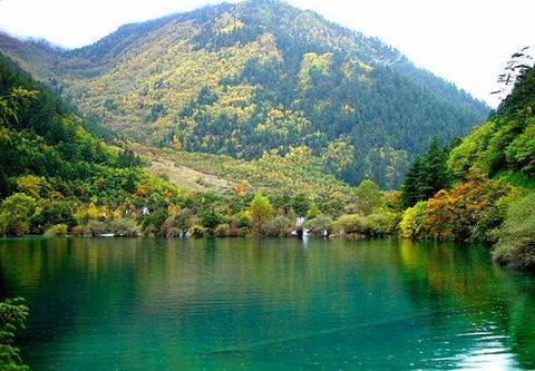 火花海图片