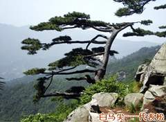 大别山主峰景区图片