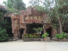 南湾猴岛照片第5张