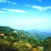 莫干山 德清 湖州 浙江 莫干山 浙江 湖州 1