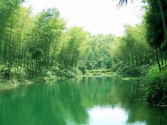溧阳市天目湖南山竹海景区图片