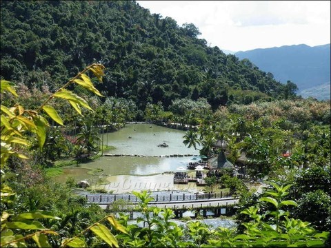 20091218161341 - 呀诺达热带雨林的照片\/三亚