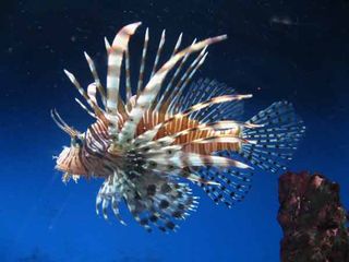 天目湖海洋世界