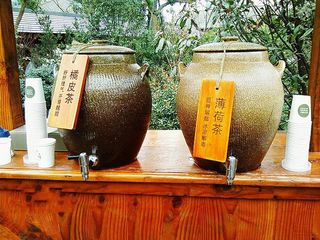 免费品茶