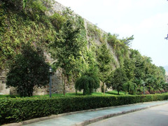 玄武湖公园09城墙