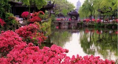 拙政园04百花