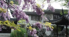 拙政园图片