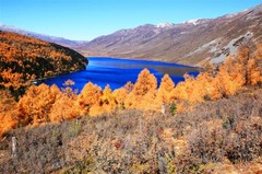 木格措景区图片
