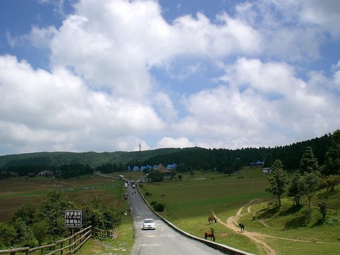 <em>仙女山</em>大草原04 - <em>仙女山</em>的<em>照片</em>/<em>武隆</em>/重庆 - 途