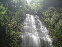 鼎湖山图片