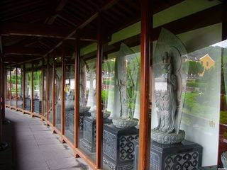 不肯去观音院
