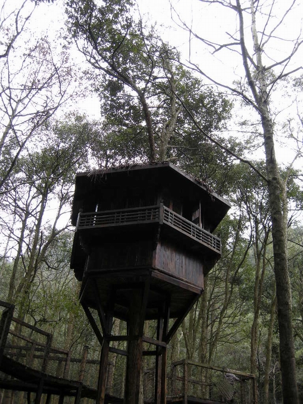 桃源人家25