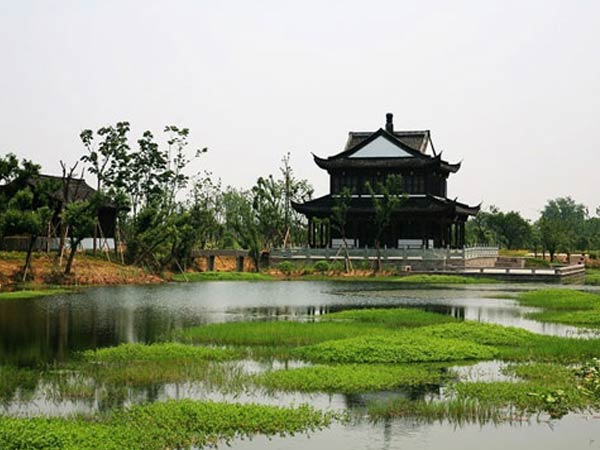 江南莲花风景图片