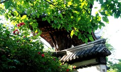 寄畅园05局部