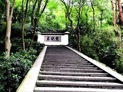 虎跑泉2