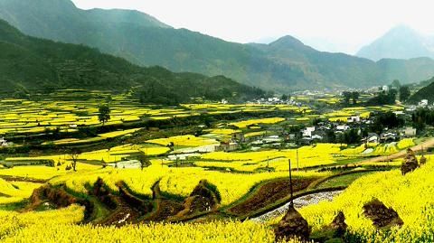 上海出发_ 婺源全景3日游 感受春天的醉美乡村