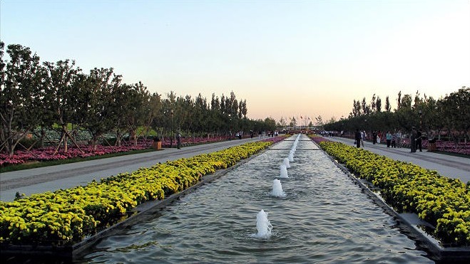 途牛上海鲜花港_上海鲜花港_鲜花拱门