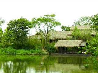 湿地风光