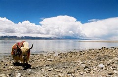 那曲旅游景点图片