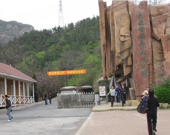 草莓采摘-<em>金龙寺</em>国家森林公园1日