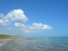 青海湖图片