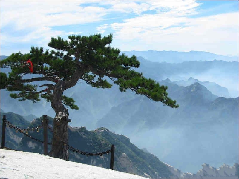 西安旅游-西安5日游_西安本地游